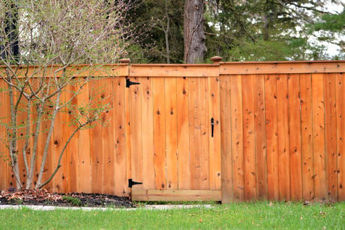 Fence Staining & Sealing